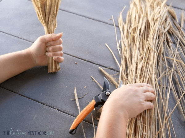 6 1 300x225 Wheat Grass Bundles for Fall