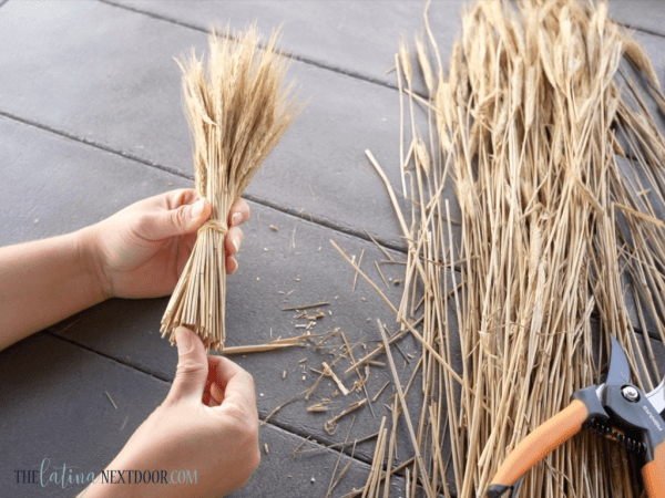 7 300x225 Wheat Grass Bundles for Fall