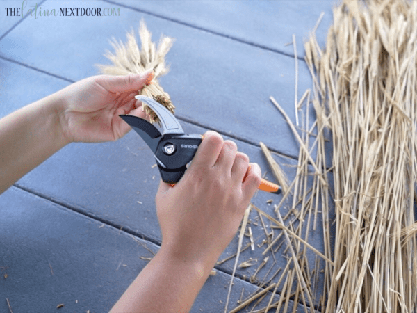 8 300x225 Wheat Grass Bundles for Fall